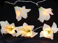 Lily White Wedding Fairy Lights_sml.jpg